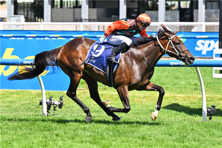 BOSSY BENITA winning the Catanach's Jewellers Mannerism Stakes at Caulfield in Australia.