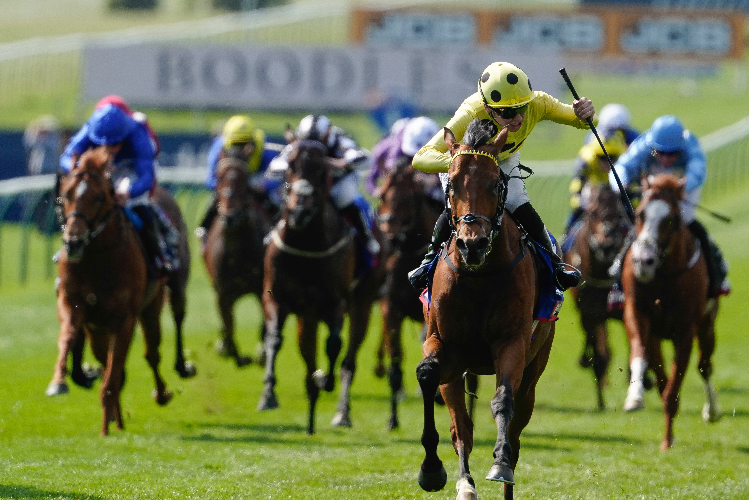 BOW ECHO winning the Betfred 2000 Guineas Stakes (Group 1) at Newmarket in England.