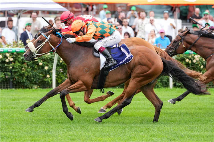 BRIDAL WALTZ winning the VOBIS Gold Comet at Flemington in Australia.