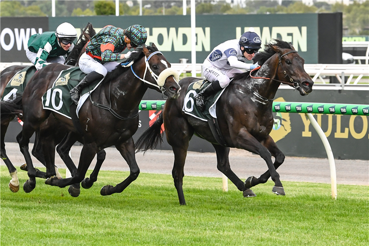 「卡巴鲁斯」夺冠在弗莱明顿赛马场上举办的纽马克特让赛
