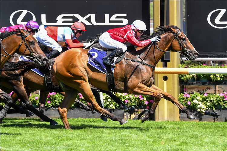 CAFE MILLENIUM winning the The Elms Handicap at Flemington in Australia.
