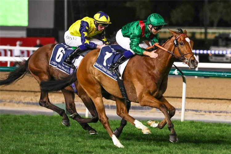 CALANDAGAN winning the Longines Dubai Sheema Classic at Meydan in United Arab Emirates.