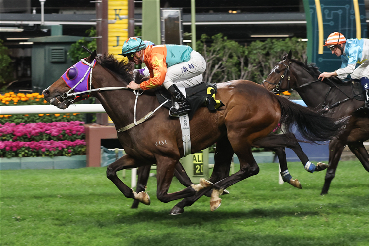 CALIFORNIA MOXIE winning the KWOON CHUNG INCLUSIVE & ACCESSIBLE SERVICE HANDICAP