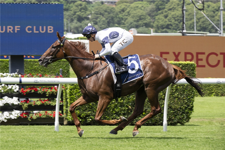 CAMPALDINO winning the RANDWICK CITY STAKES at Randwick in Australia.