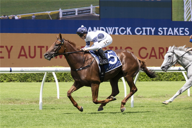 CAMPALDINO winning the RANDWICK CITY STAKES at Randwick in Australia.