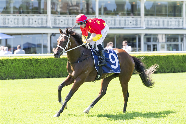 CAMPIONE D'ITALIA winning the CATANACH'S JEWELLERS SKYLINE STAKES at Randwick in Australia.