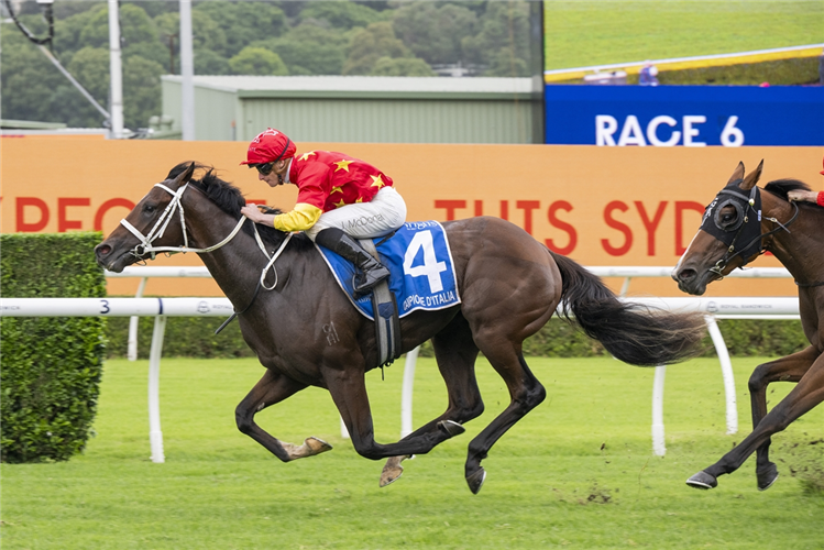 CAMPIONE D'ITALIA winning the INGLIS SIRES' at Randwick in Australia.