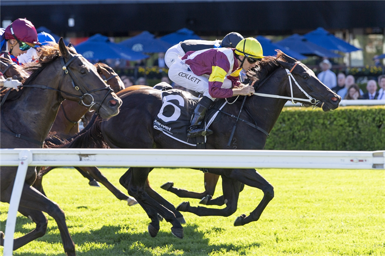 CANTIAMO winning the THE THIRD AUSTRALIAN GENERAL HOSPITAL HANDICAP at Royal Randwick in Australia.
