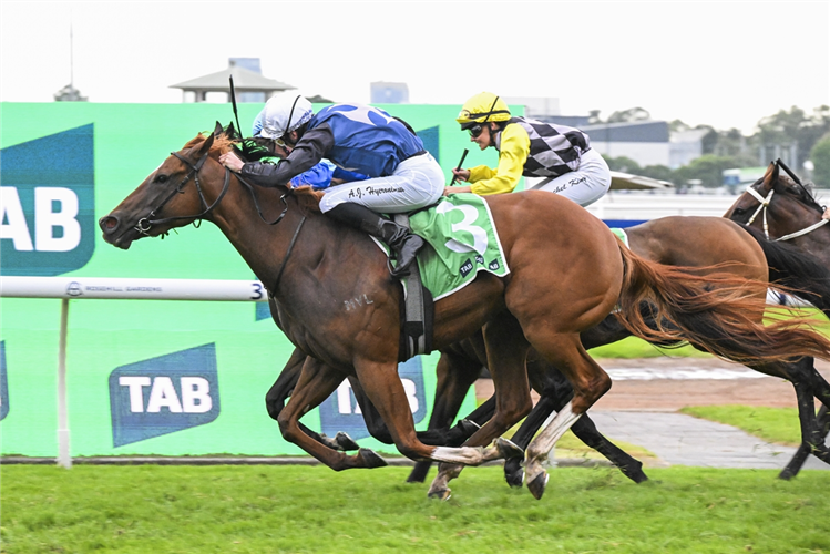 CATCH THE GLORY winning the TAB BIRTHDAY CARD STAKES