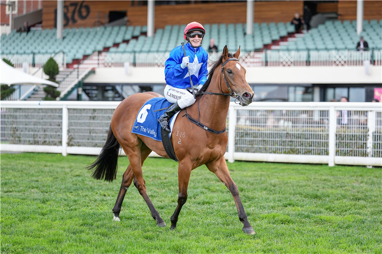 「女骑兵」夺冠在考菲尔德赛马场上举办的斯威尼房产经纪让赛（Sweeney Estate Agents Handicap）