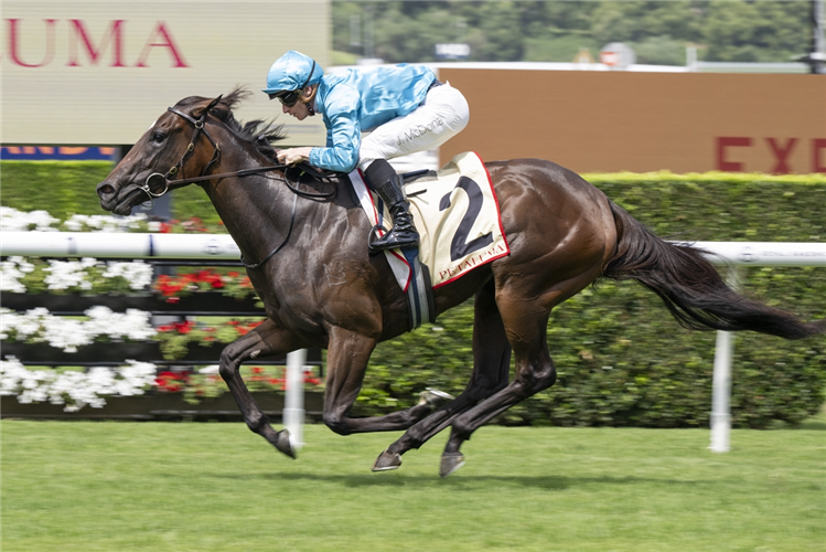 「查延」胜出雷司令锦标赛