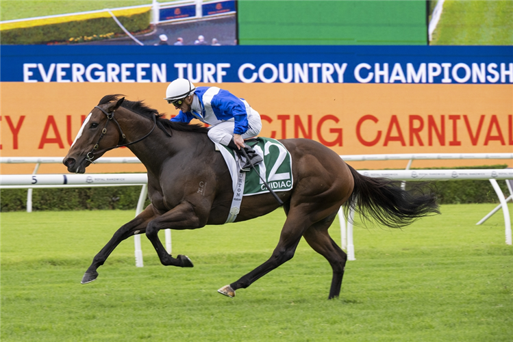 CHIDIAC winning the EVERGREEN TURF COUNTRY CHAMPIONSHIPS FINAL at Randwick in Australia.