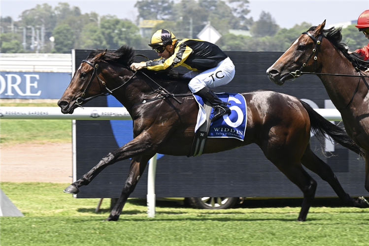 「冰妹」夺冠威登锦标赛