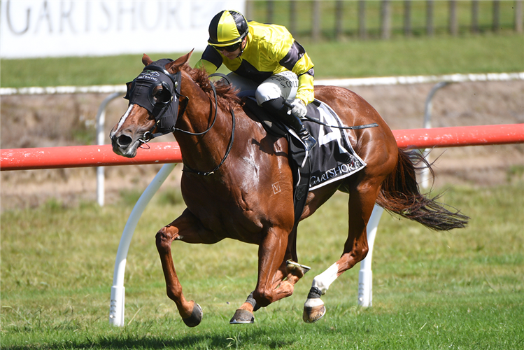 CHURCHILLIAN winning the TRITON PACIFIC OWENS PLATE