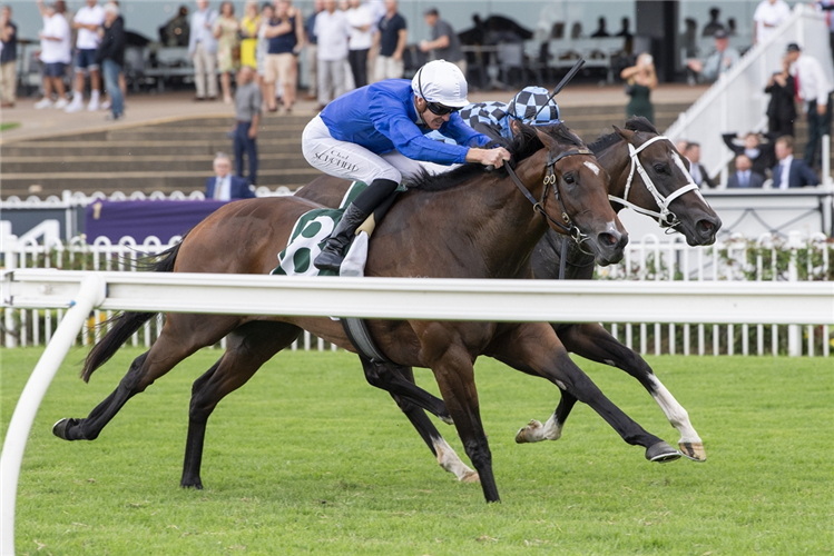 CINSAULT winning the VINERY STUD MILLIE FOX STAKES at Rosehill in Australia.