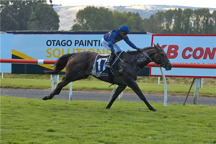 CLUEDO LANE winning the WHITE ROBE LODGE WEIGHT FOR AGE