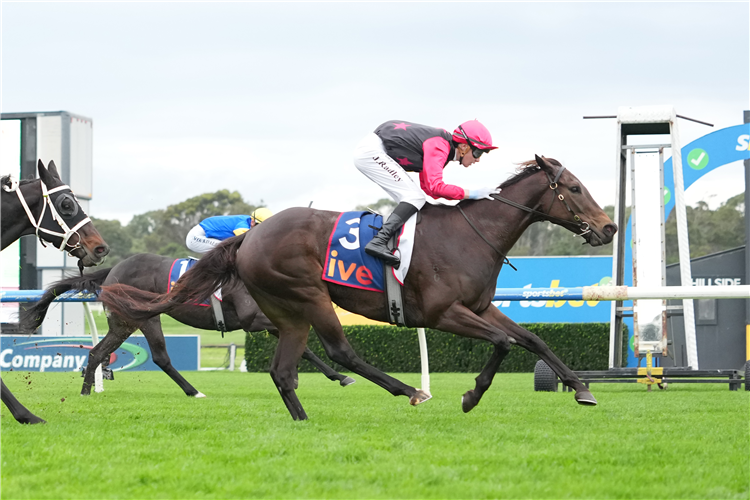 COEUR VOLANTE winning the ive > Handicap at Sandown in Australia.