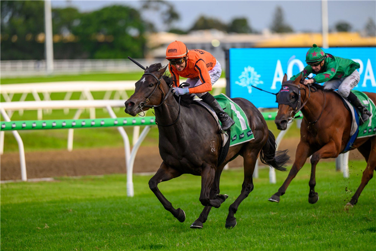 CONSIDERED winning the TAB MILITARY ROSE PLATE at Gold Coast in Australia.