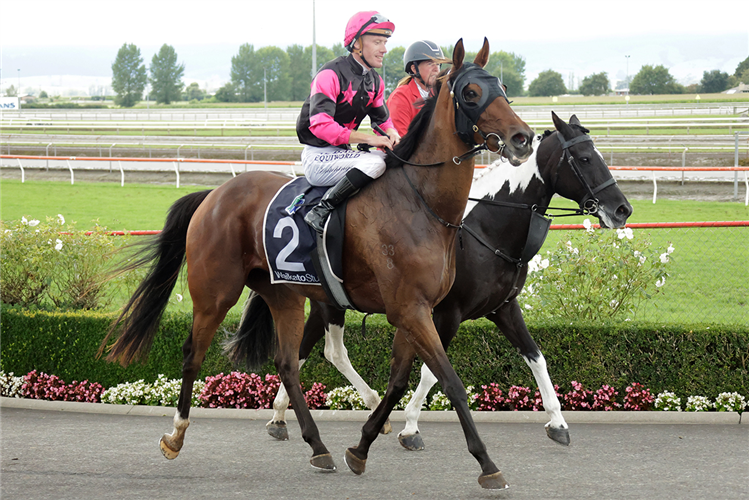 DIAMOND JAK winning the MATAMATA VETERINARY SERVICES KAIMAI STAKES