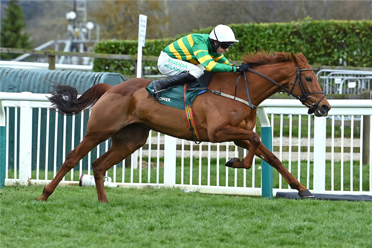Dinoblue winning the Mrs Paddy Power Mares’ Steeple Chase at Cheltenham in England.