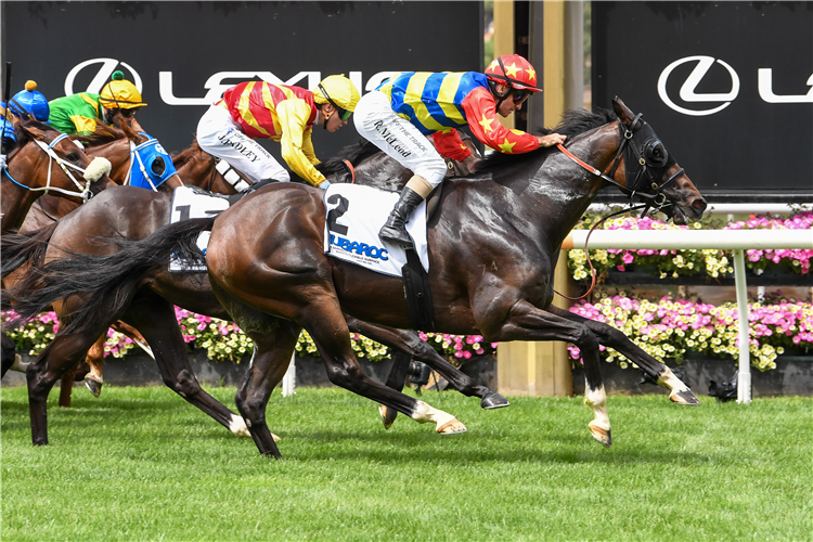 DIRTY GRIN winning the Rubaroc Handicap at Flemington in Australia.