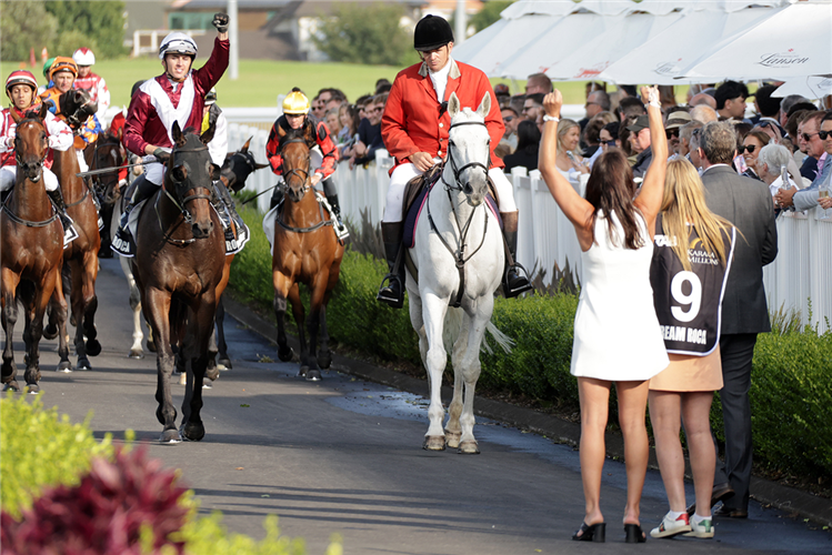 Dream Roca returns victorious following Saturday's TAB Karaka Millions 2YO (1200m) at Ellerslie.