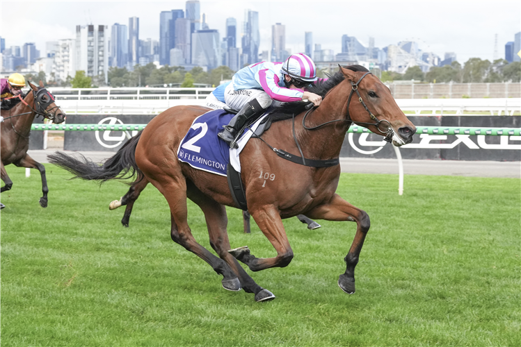 DUCHESS ZOU winning the 20 Years of Living Legends Trophy at Flemington in Australia.