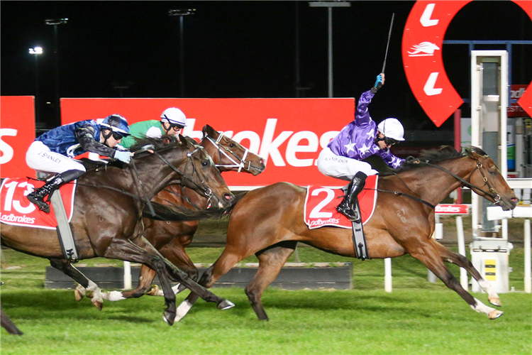 朗塞斯顿赛马场