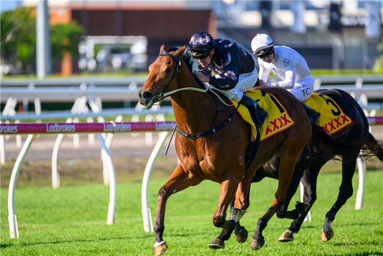 Earn To Burn Wins Listed Xxxx Queensland Day Stakes: Post Race Trainer ...