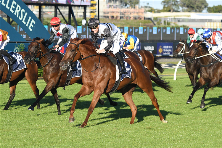 ELLE SOURIT winning the ENTAIN/NZB INSURANCE PEARL SERIES FINAL
