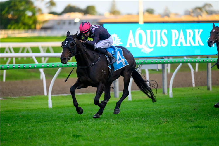ENCODER winning the THE THOROUGHBRED GIRLS GOLD COAST STAKES at Gold Coast in Australia.
