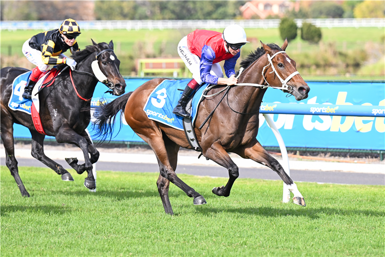 ERTIJAAJ winning the Sportsbet BlackBook Plate at Caulfield Heath in Australia.