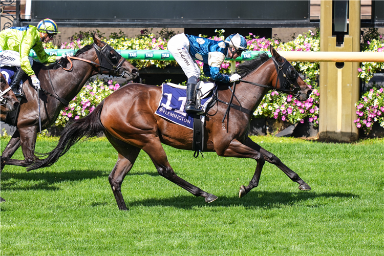 「出口」夺冠在弗莱明顿赛马场上举办的约克盾赛（York Plate）
