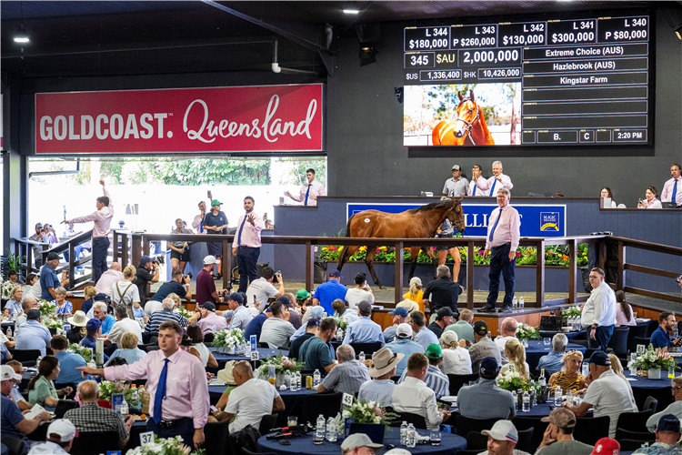 An Extreme Choice colt sold for $2m in front of a packed crowd at Magic Millions.