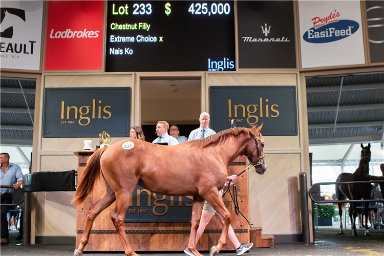 「极选」的女儿