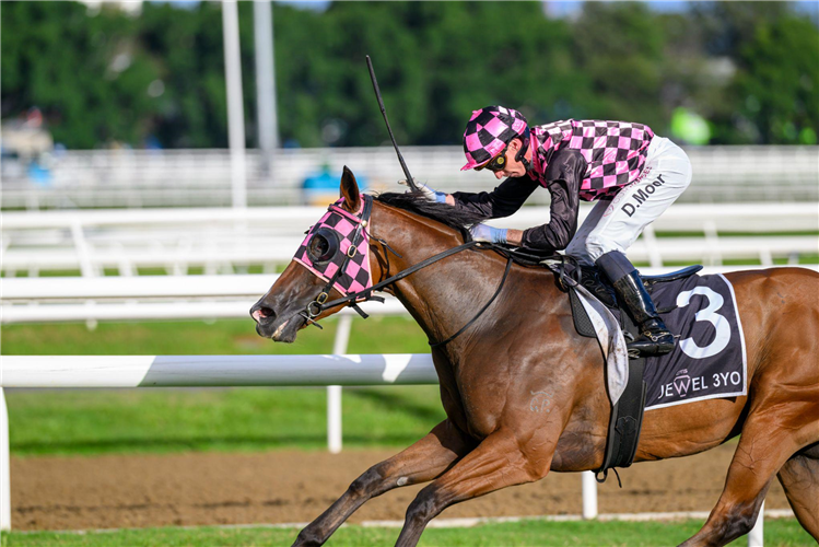 FABULANTES winning the ST JOHN'S CRISIS CENTRE QTIS JEWEL 3YO at Gold Coast in Australia.