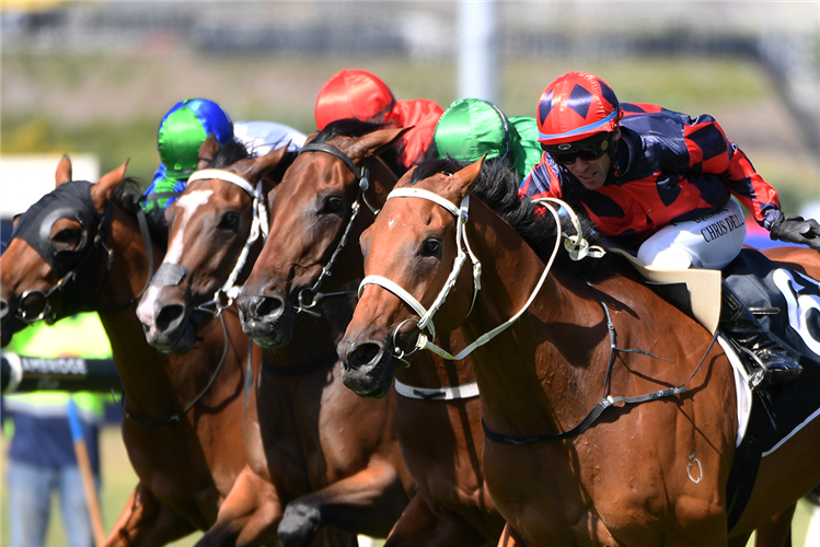 FINAL RETURN winning the EAGLE TECHNOLOGY AVONDALE CUP