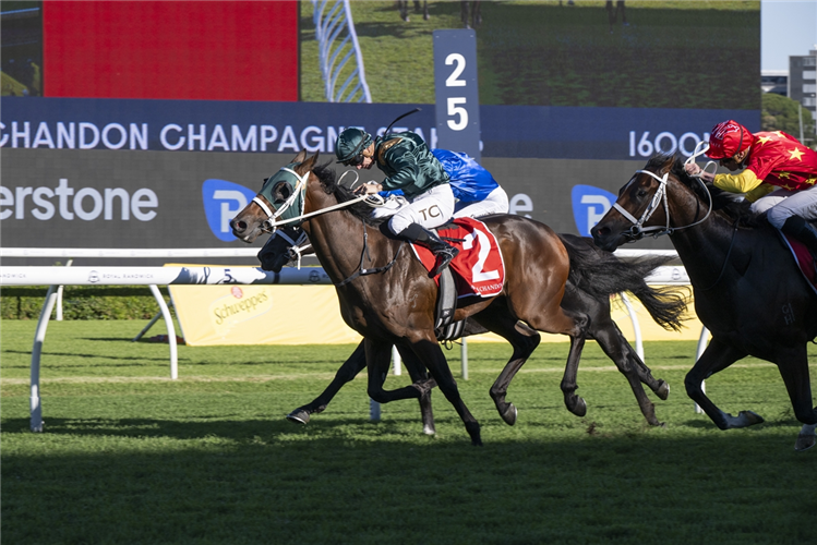 Fireball Wins Group 1 Moet & Chandon Champagne Stakes: Post Race ...