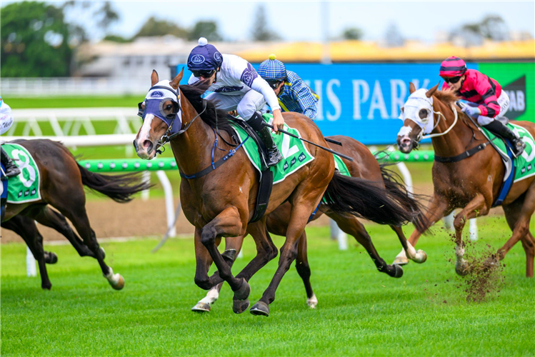 FLYING DESTINY winning the CALL LOGIC BENCHMARK 78 Handicap at Gold Coast in Australia.