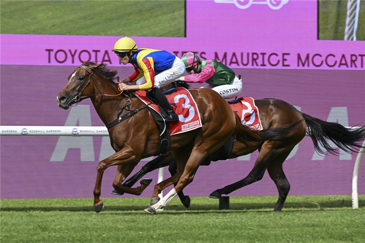 FLYING FOR FUN winning the TOYOTA FORKLIFTS MAURICE MCCARTEN STAKES at Rosehill in Australia.