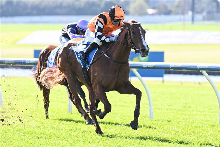 「法式和约」夺冠在桑当赛马场上举办的Sportsbet极速状态盾赛（Sportsbet Fast Form Plate）