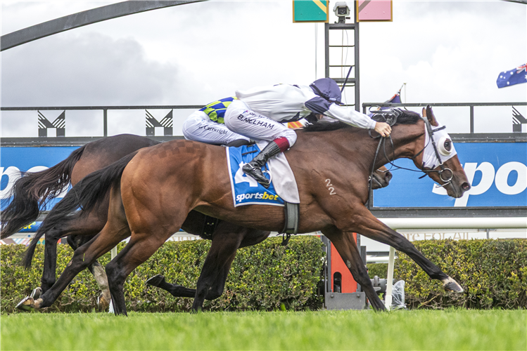 FRINGES winning the Sportsbet Ken and Helen Smith SA Fillies Classic