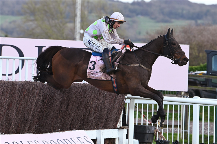 GAELIC WARRIOR winning the Boodles Cheltenham Gold Cup Chase (Grade 1) (Gbb Race) at Cheltenham in England.