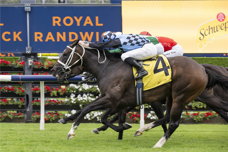 「慷慨」胜出挑战锦标赛