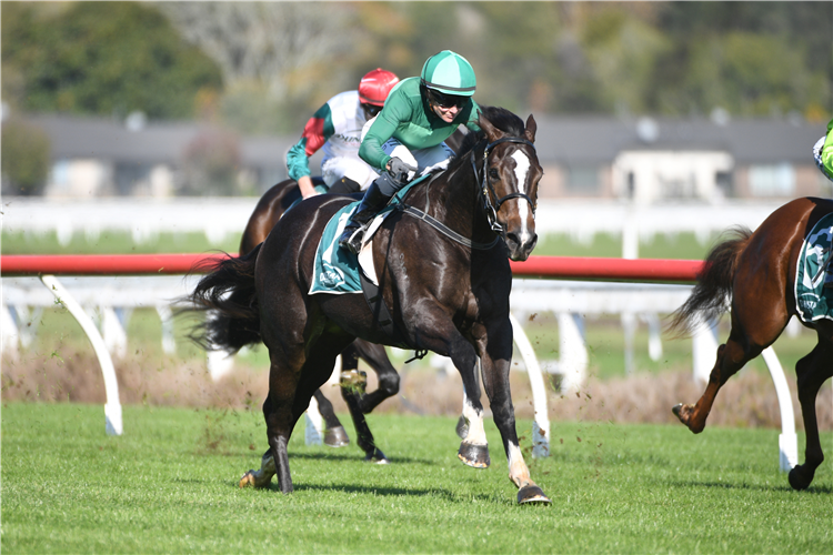 GENEVA winning the HKJC WORLD POOL NZ DERBY