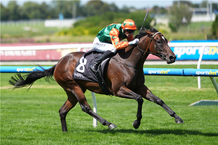 GENTLE STEEL winning the The Murray Thoroughbreds Mystic Journey at Caulfield in Australia.