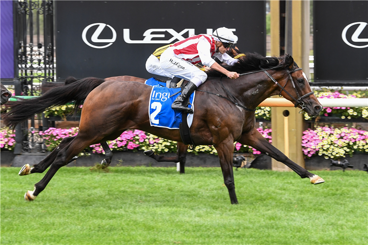 GETTA GOOD FEELING winning the Inglis Sprint at Flemington in Australia.