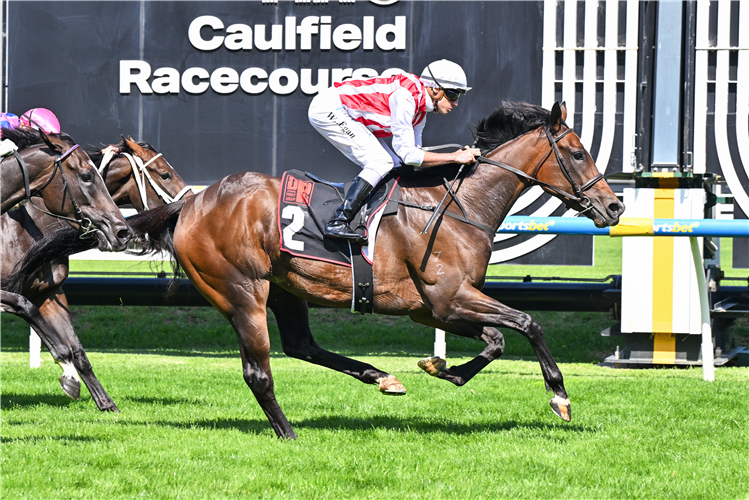 GETTA GOOD FEELING winning the Dynamic Print Group Alexandra Stakes at Caulfield in Australia.