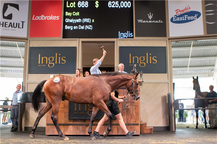 The $625,000 Ghaiyyath colt from the Classic Sale.