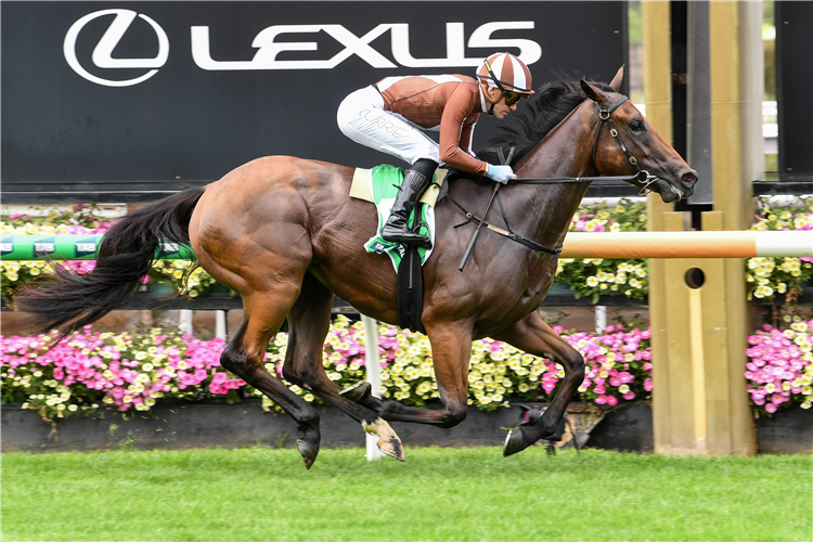 「松子酒盘旋」夺冠TAB We're On大赛